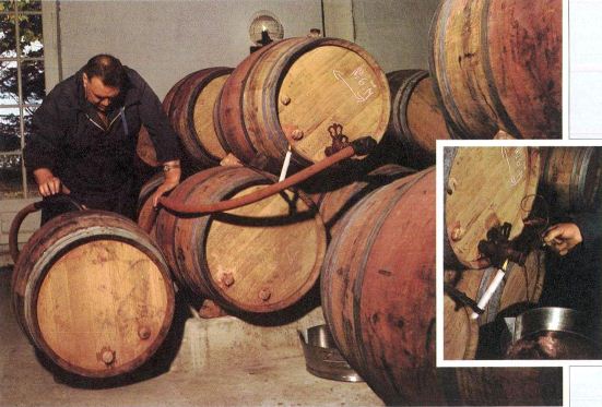 Получение вина в древесных емкостях